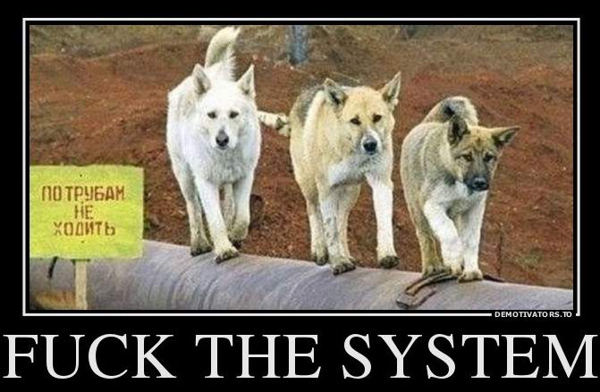 Fuck the system 