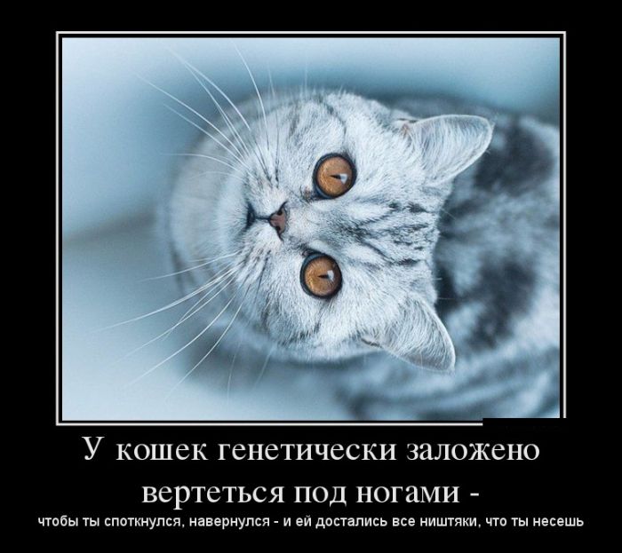        -   ,  -     .    