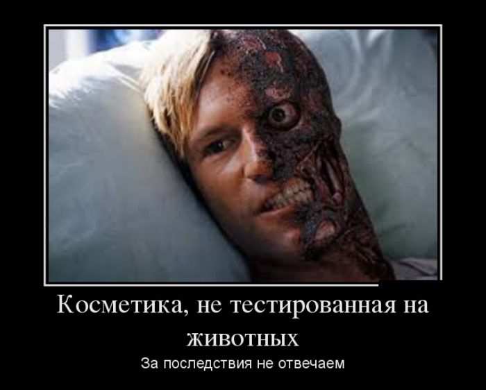 ,    .     
