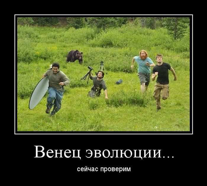 Венец эволюции... Сейчас проверим