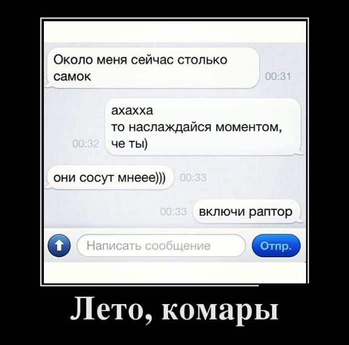 Лето, комары 