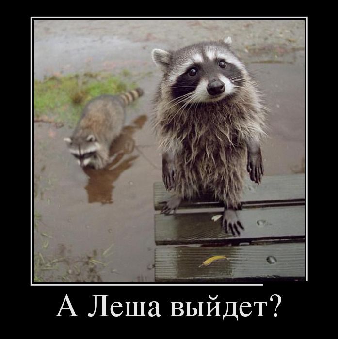   ? 