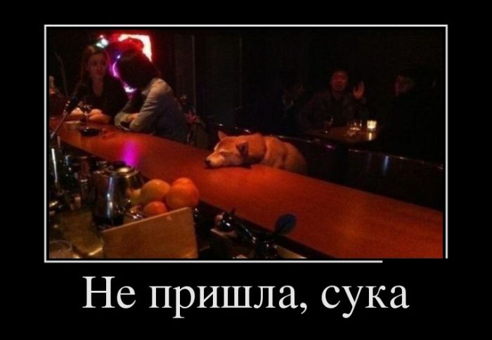Не пришла, сука