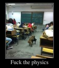 Fuck the physics 