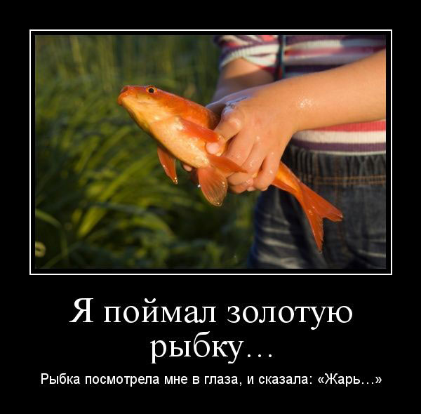    ...     ,  : ... 