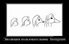   Instagram 