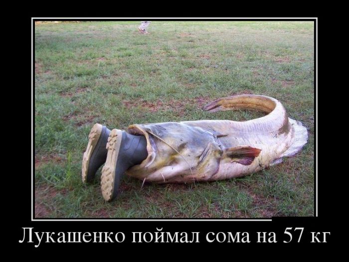     57  