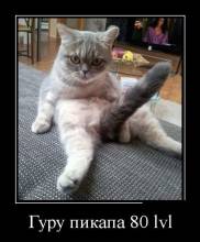   80 lvl 