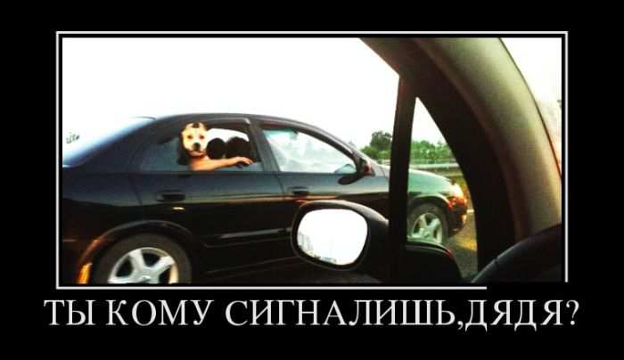   , ? 