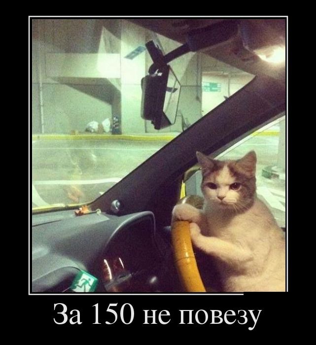  150   