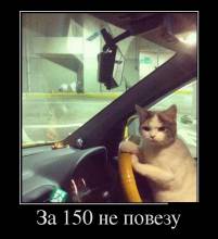  150   