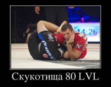  80 LVL 