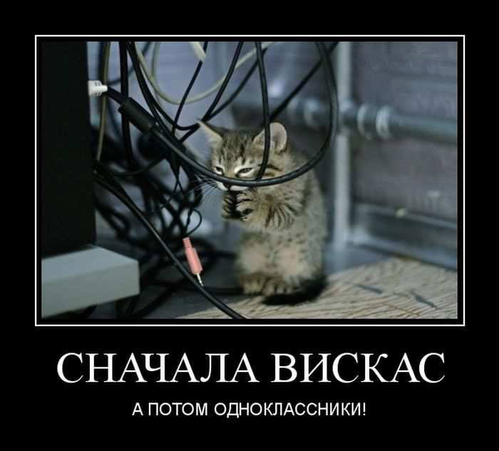  ,   ! 