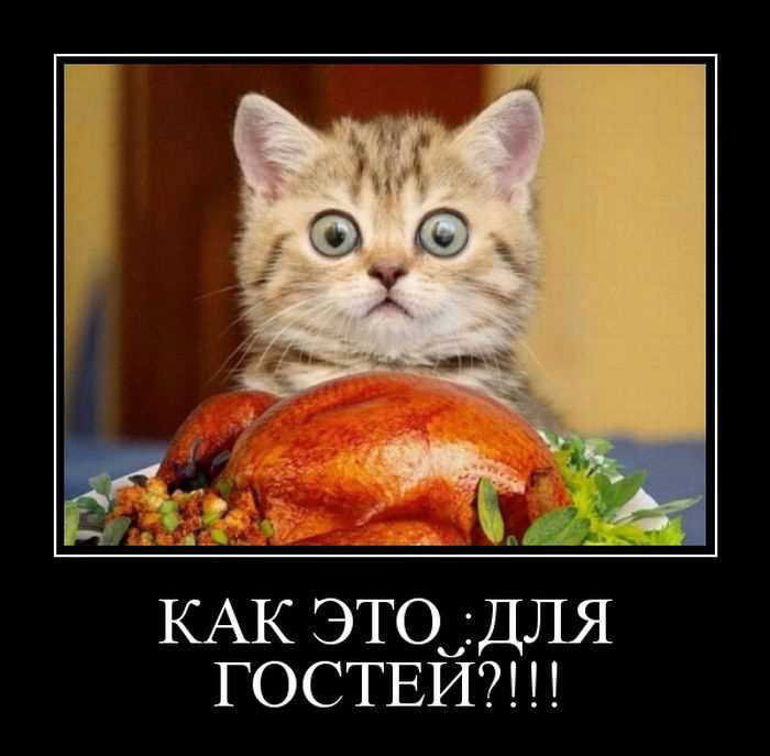    ?!!! 