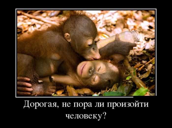 ,     ?
