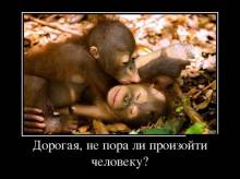 ,     ?