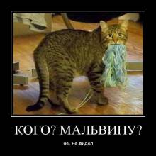 ? ? ,   