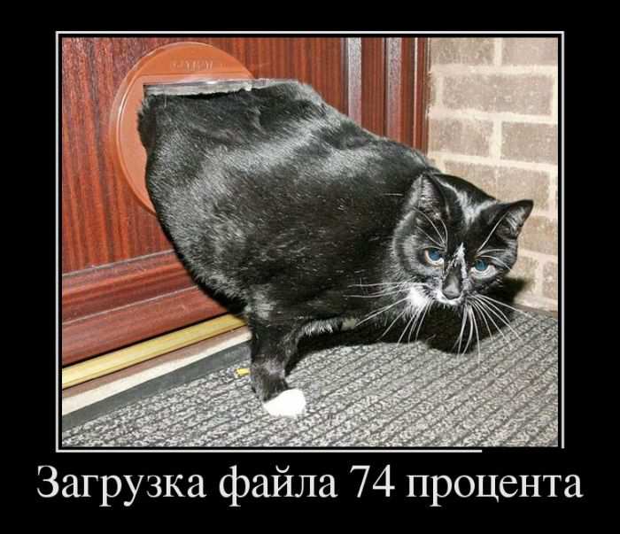   74  