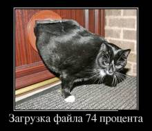   74  