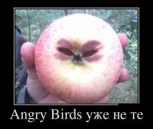 Angry Birds    