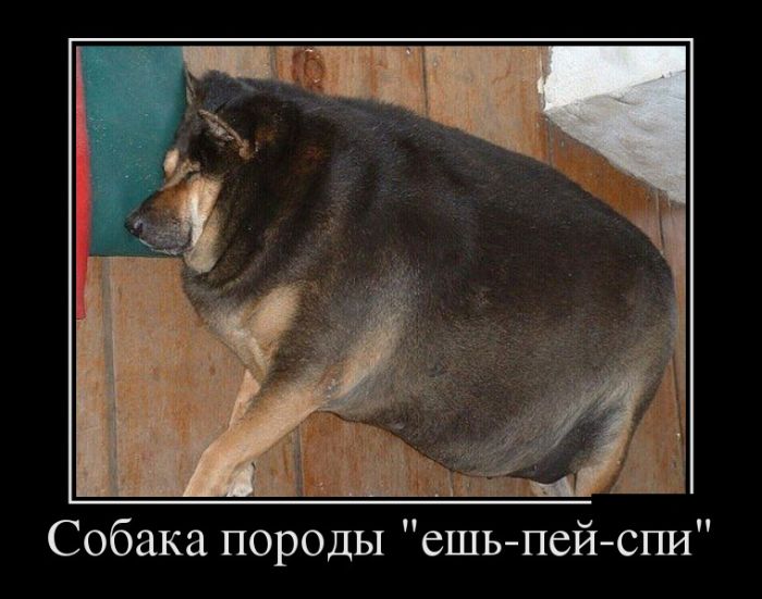   --