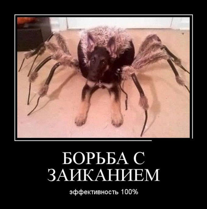   .  100% 