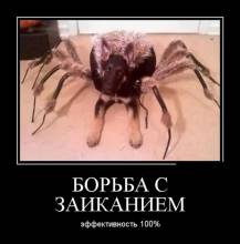   .  100% 