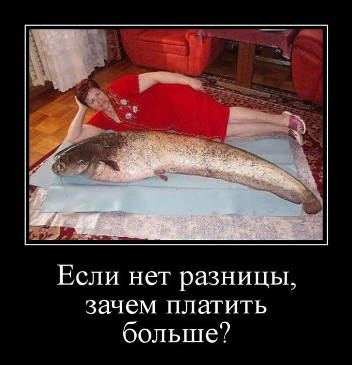   ,   ? 