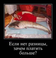   ,   ? 
