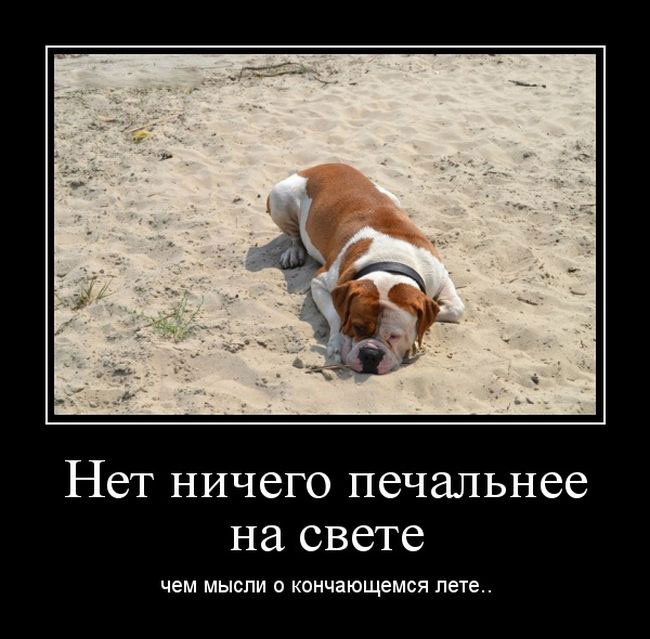     ,     ..