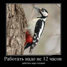    12 ,    