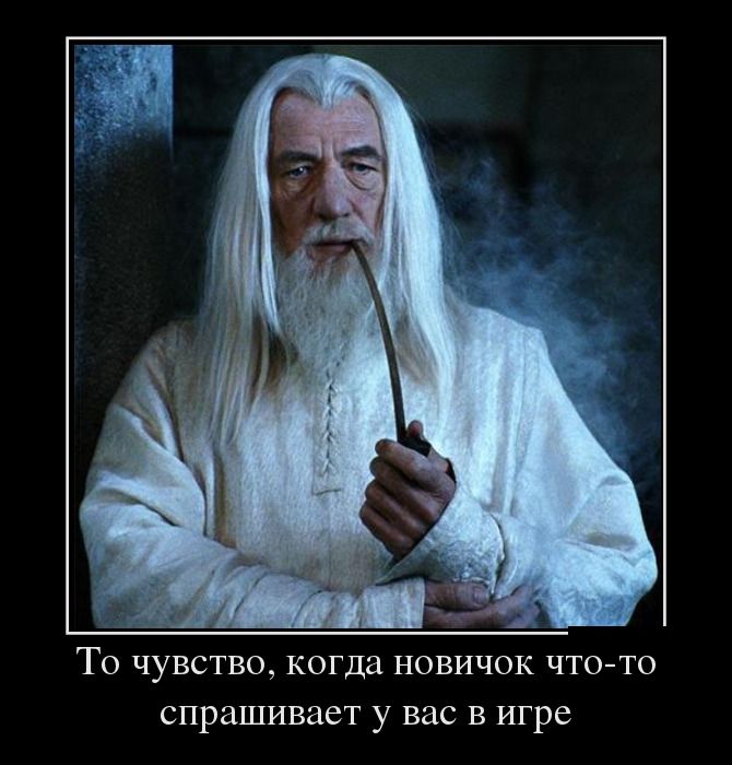 То чувство, когда новичок что-то спрашивает у вас в игре 