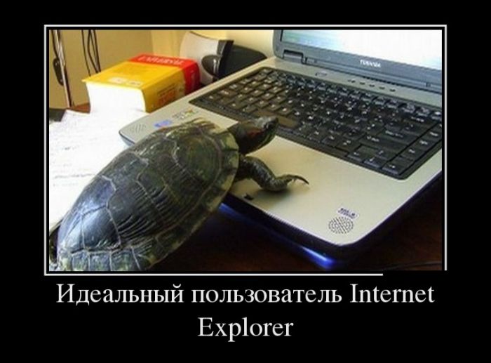   Internet Explorer
