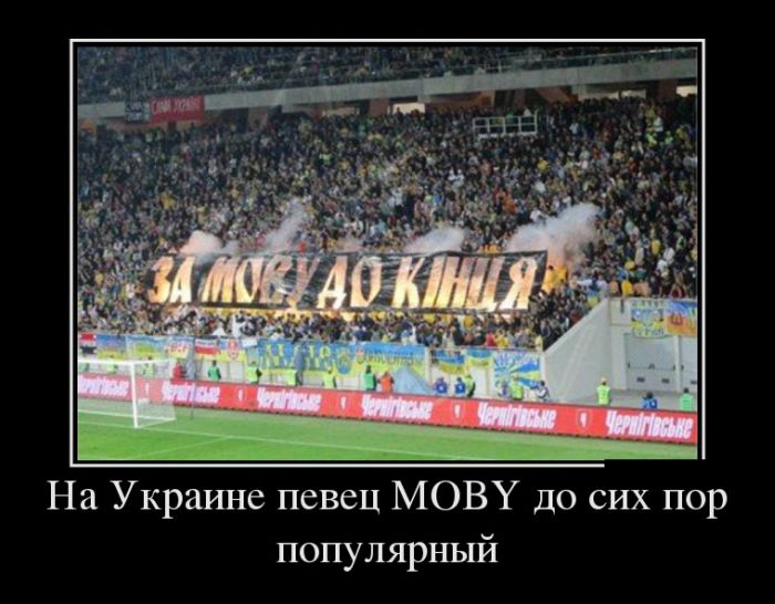    MOBY    