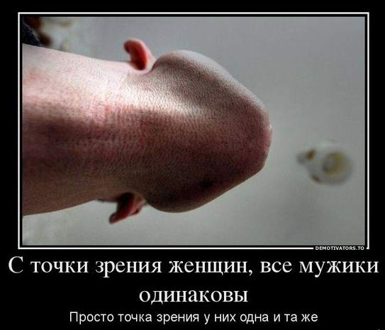    ,   .          