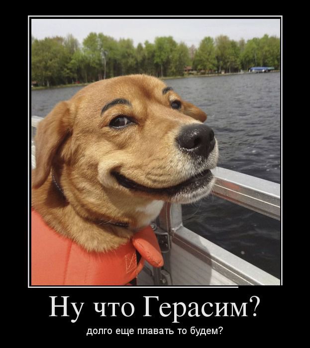   ?     ? 