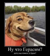   ?     ? 