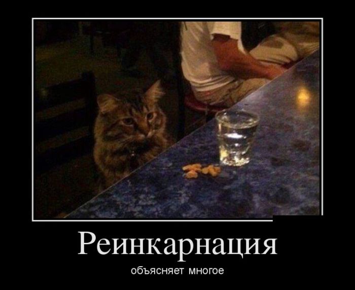 Реинкарнация объясняет многое 