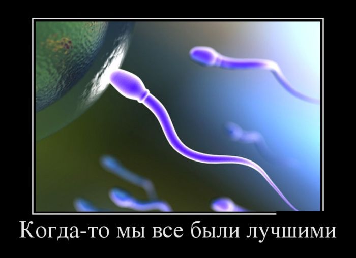 -     