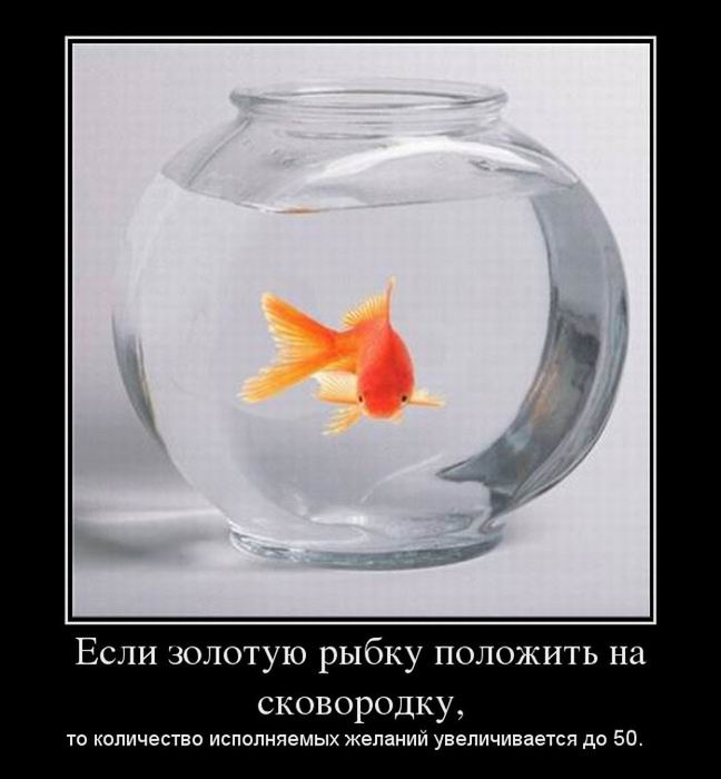      ,       50. 