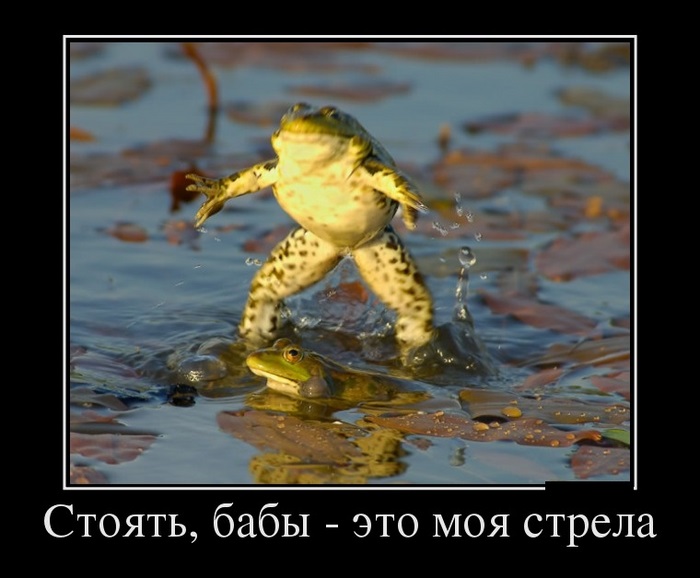,  -    