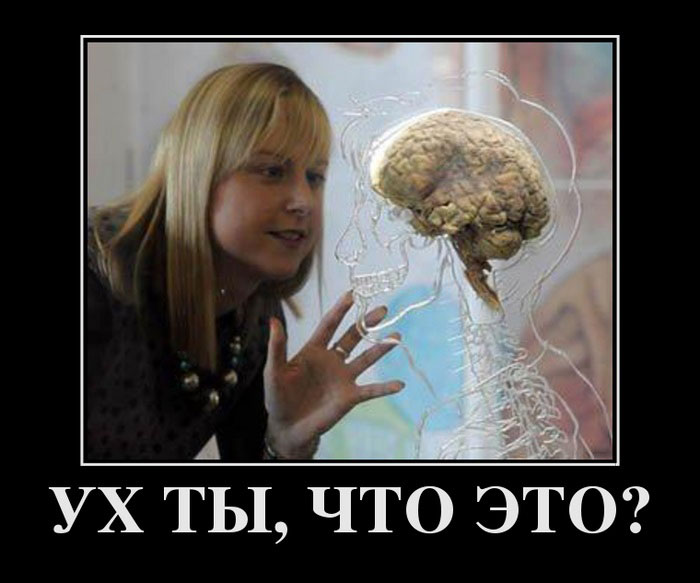  ,  ? 