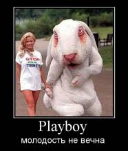 Playboy.    