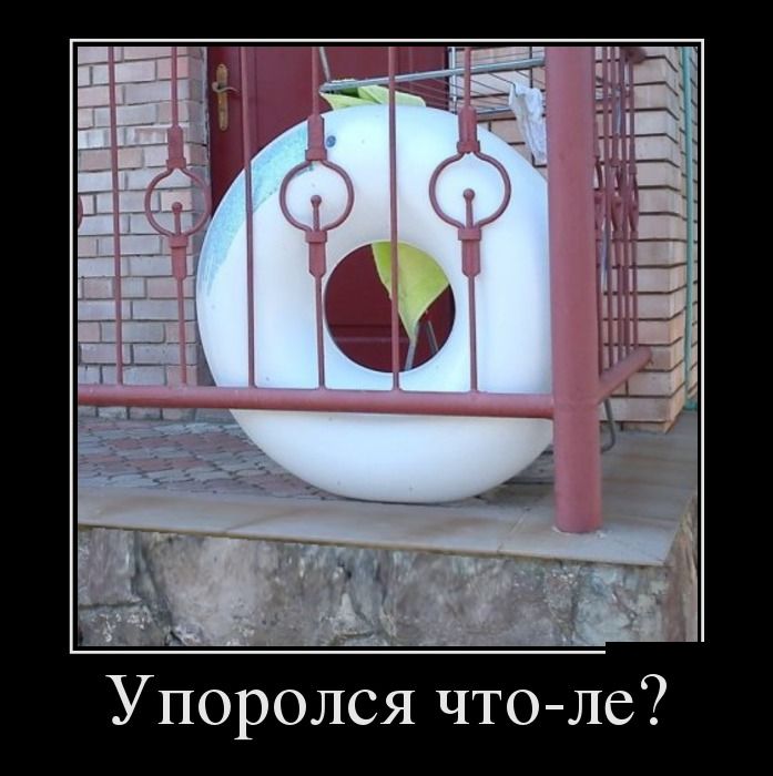  -?