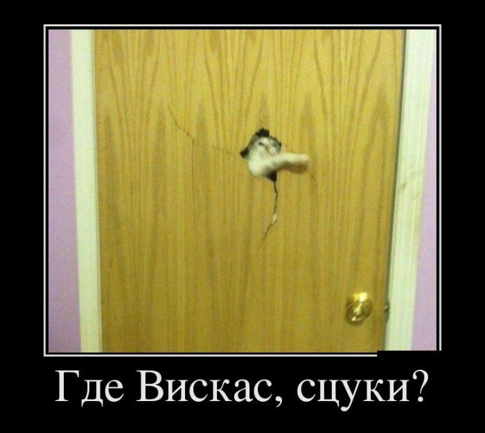  , ? 
