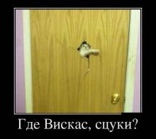  , ? 