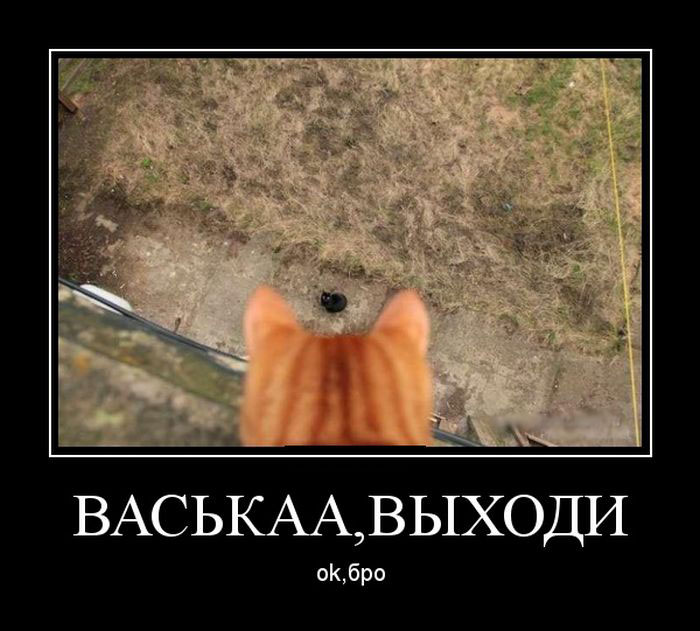 Васькаа, выходи. Ок, бро