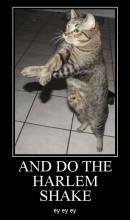 And do the harlem shake. Ey ey ey