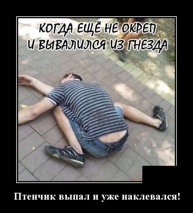 Выпал из гнезда 