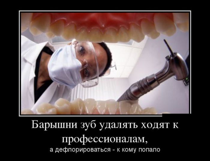      ,   -    